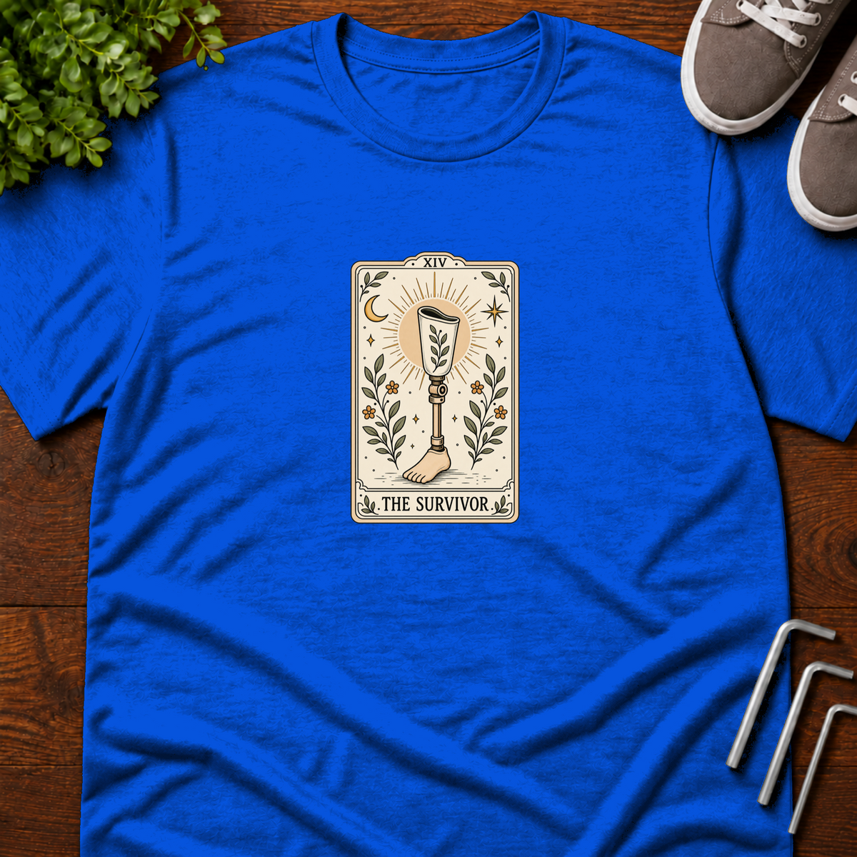 CSMM-LIFESTYLE-v1 | Royal